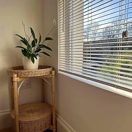 Restored Victorian With Private Garden 브리스틀